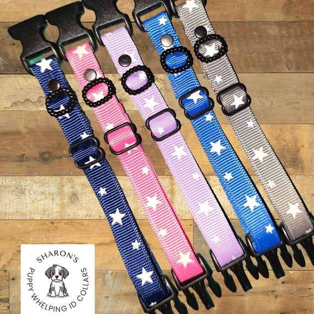 Stars print whelping ID collars